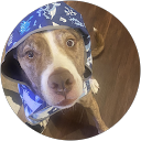 Christel Schaefers profile picture